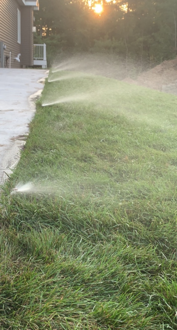 Drainage and irrigation support for a healthy lawn
