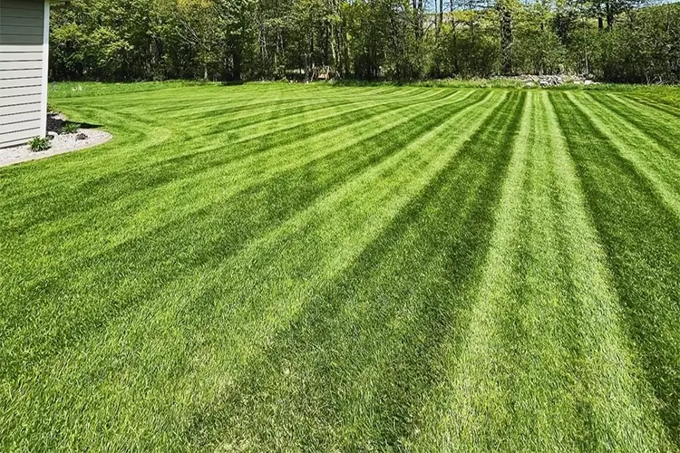 Finished lawn and landscape at a Wisconsin Rapids home